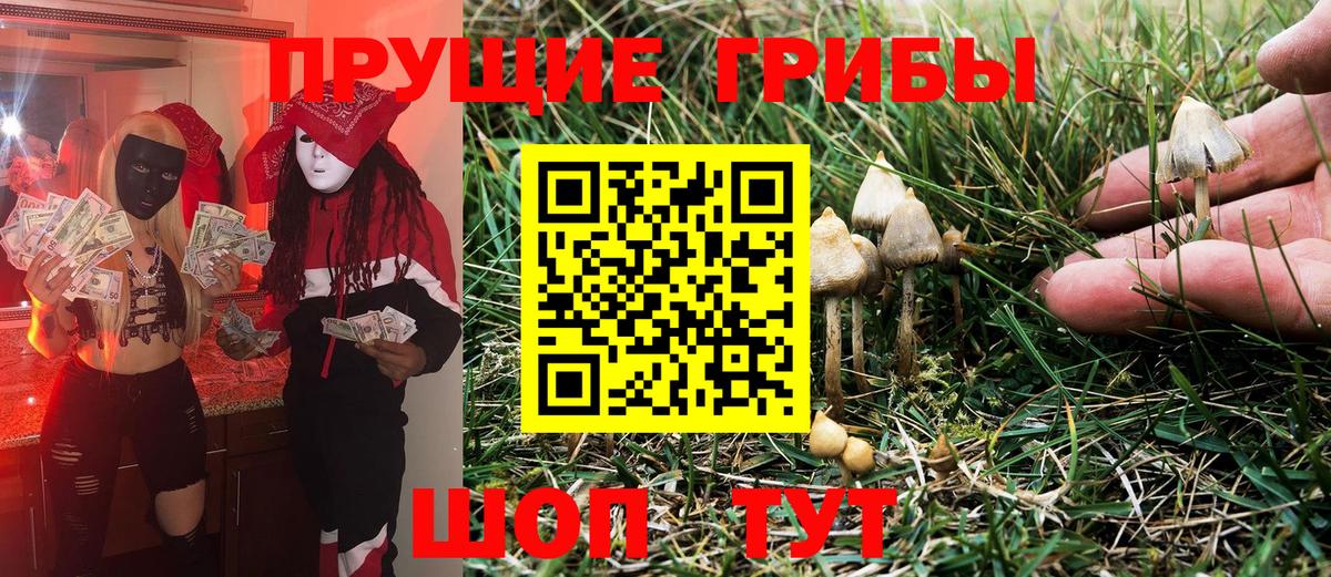 Псилоцибиновые грибы Magic Shrooms Тара