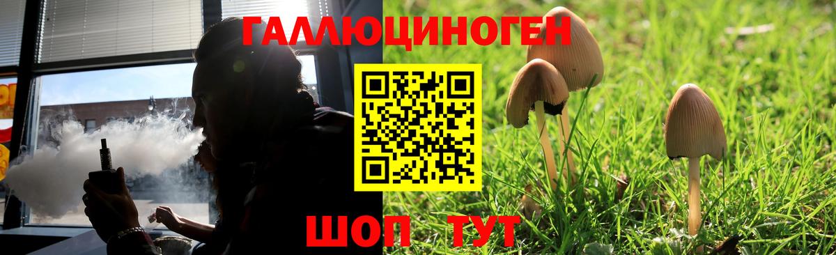Псилоцибиновые грибы Magic Shrooms  Вход с VPN  Тара 